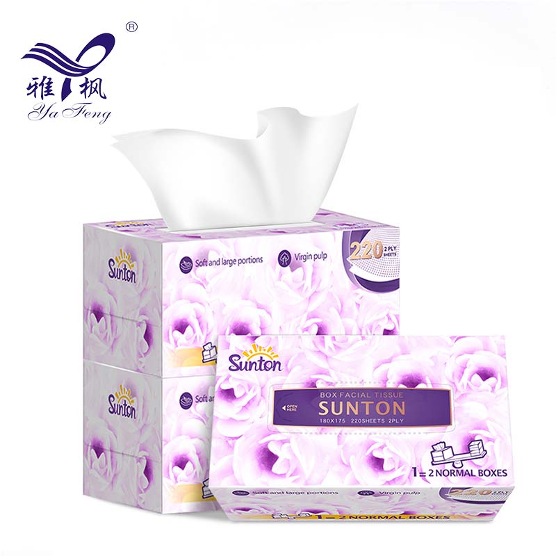 Tejidos faciales de 2 capas blancos desechables de 2 capas faciales para el uso del hogar al aire libre uso diario